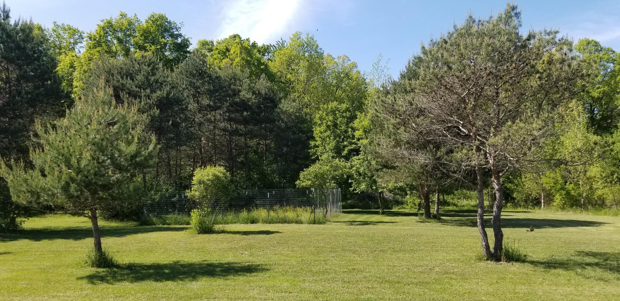 1697 East Chippewa River Road Midland, MI 48640 - Photo 26 of 39 Gallery Image 26