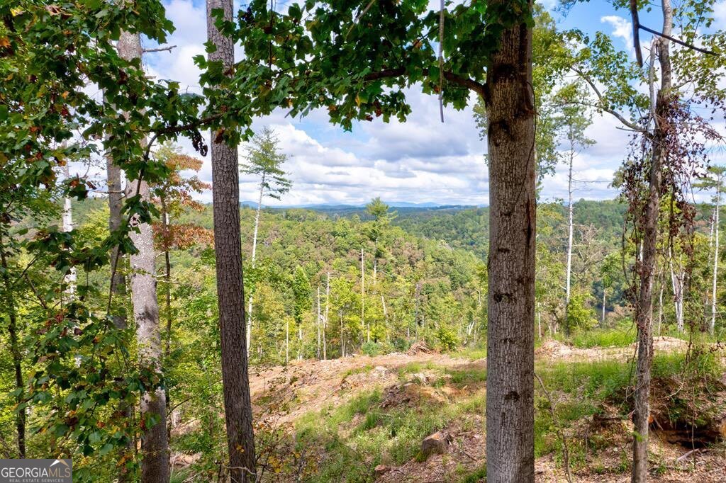 Lt 930 Myna Drive Ellijay, GA 30540 - Photo 1 of 1 a view of a yard in the forest