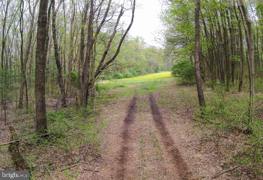 4263 Carlisle Road Gardners, PA 17324 - Photo 23 of 24 Gallery Image 23