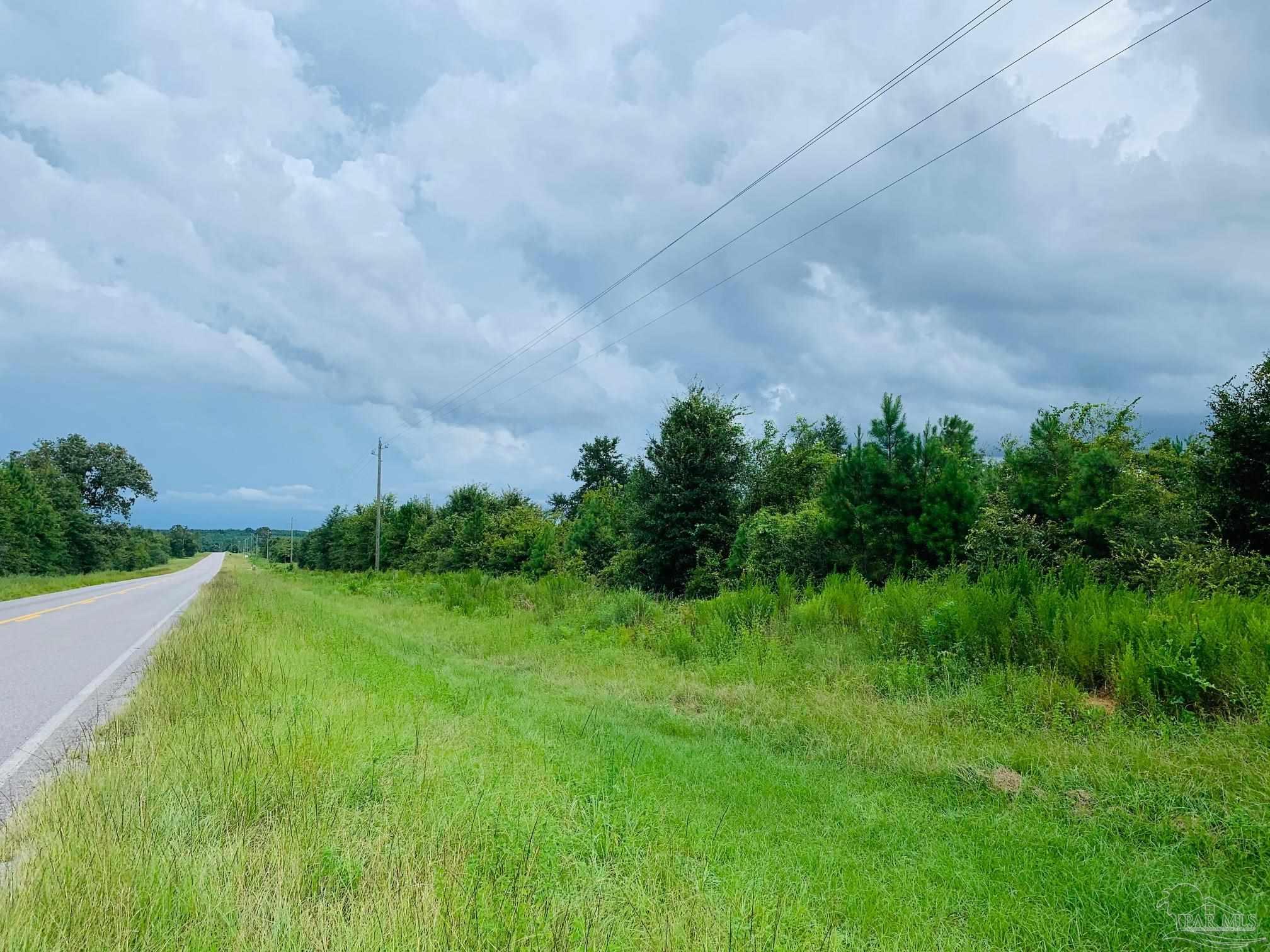 2209 Bud Diamond Road Jay, FL 32565 - Photo 3 of 5