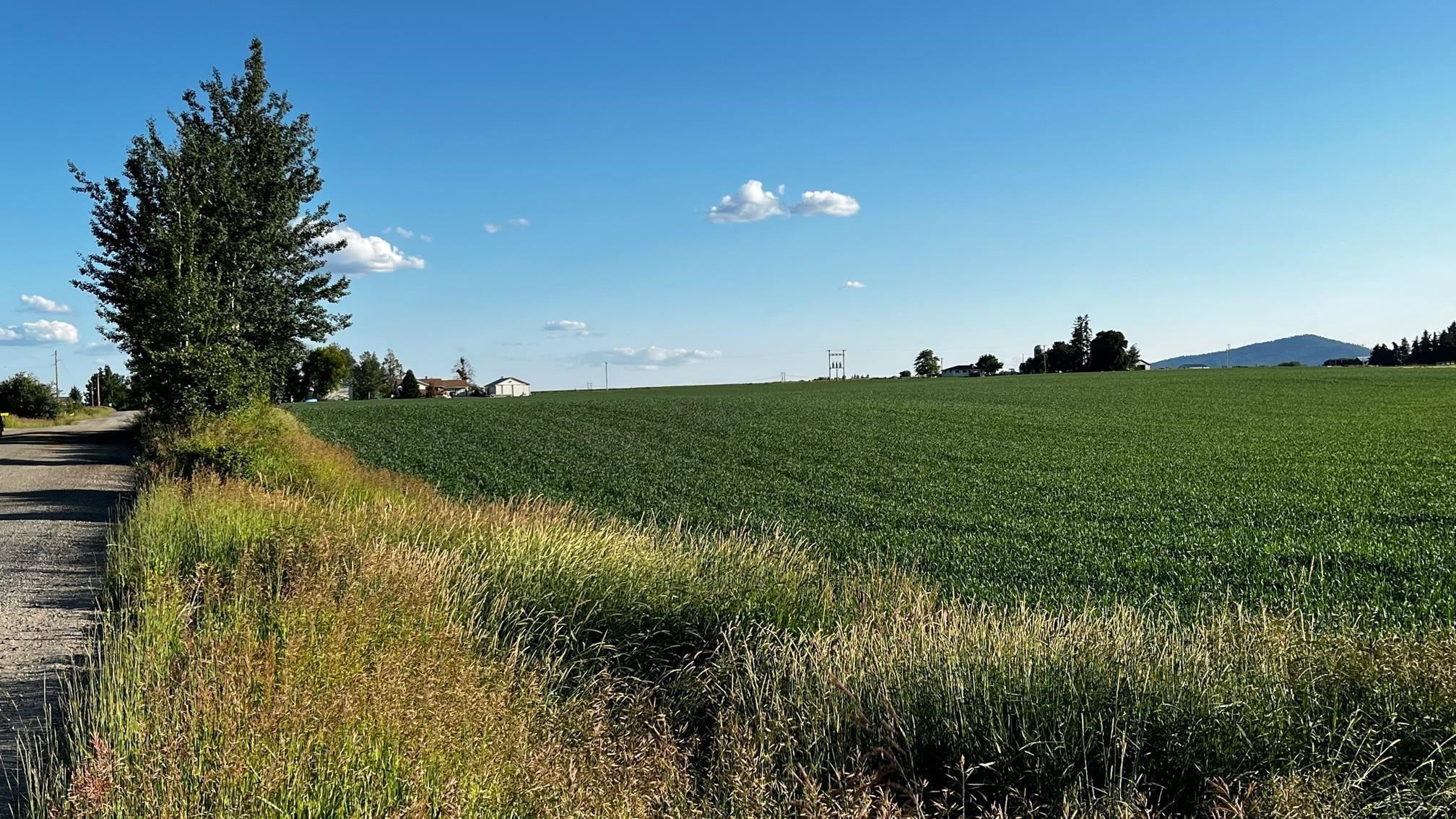 37-xxx North Grove Road Deer Park, WA 99006 - Photo 2 of 9