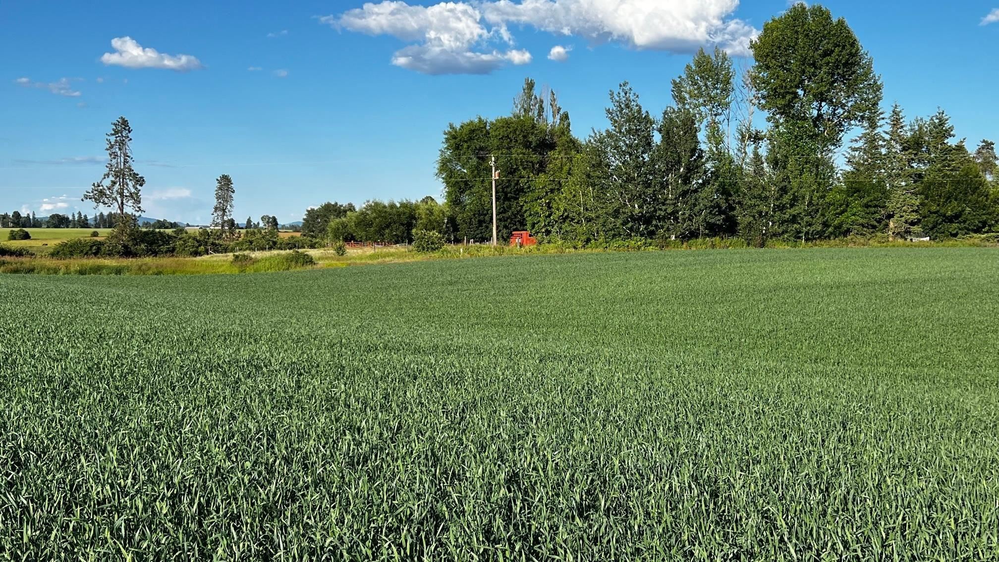 37-xxx North Grove Road Deer Park, WA 99006 - Photo 5 of 9