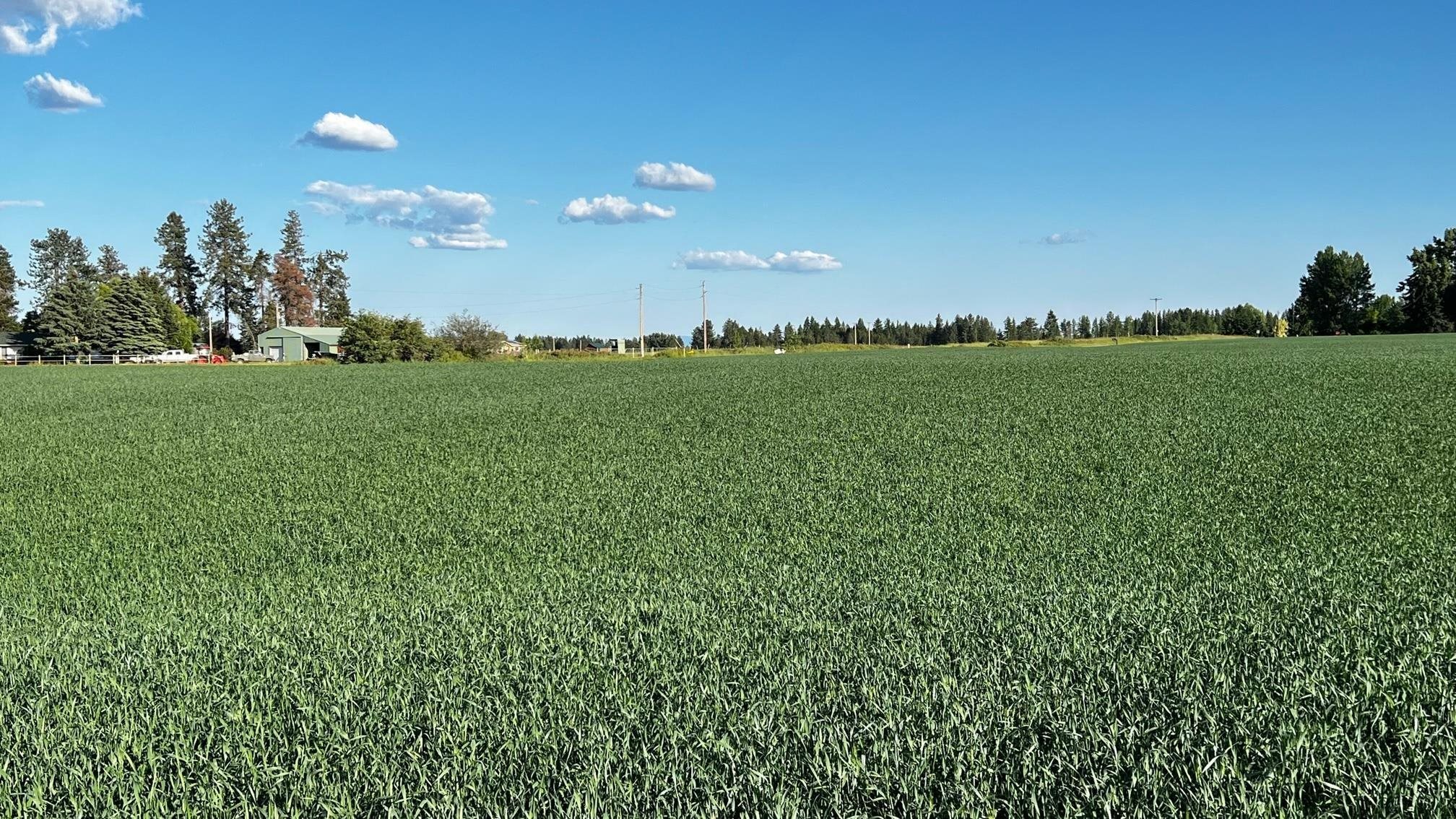 37-xxx North Grove Road Deer Park, WA 99006 - Photo 6 of 9