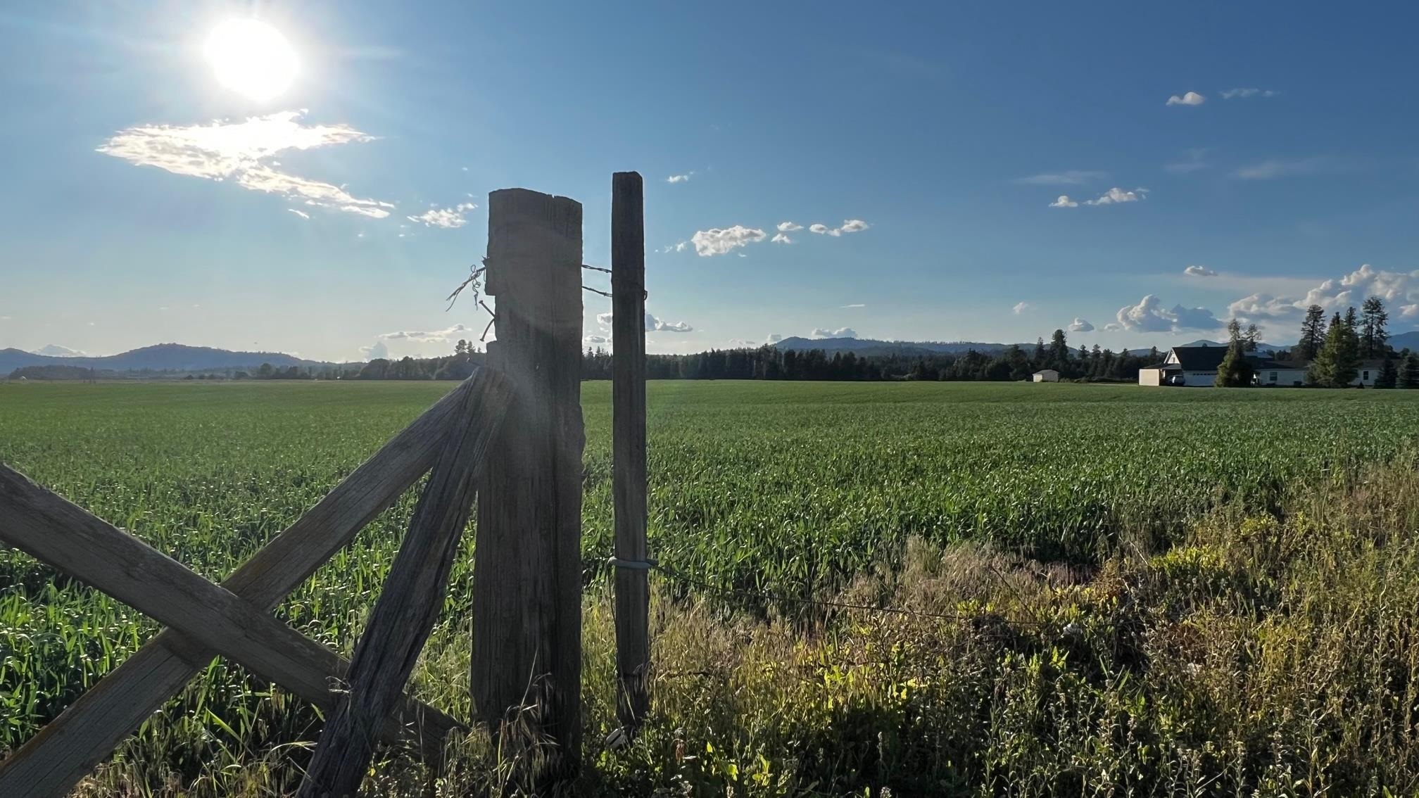 37-xxx North Grove Road Deer Park, WA 99006 - Photo 7 of 9