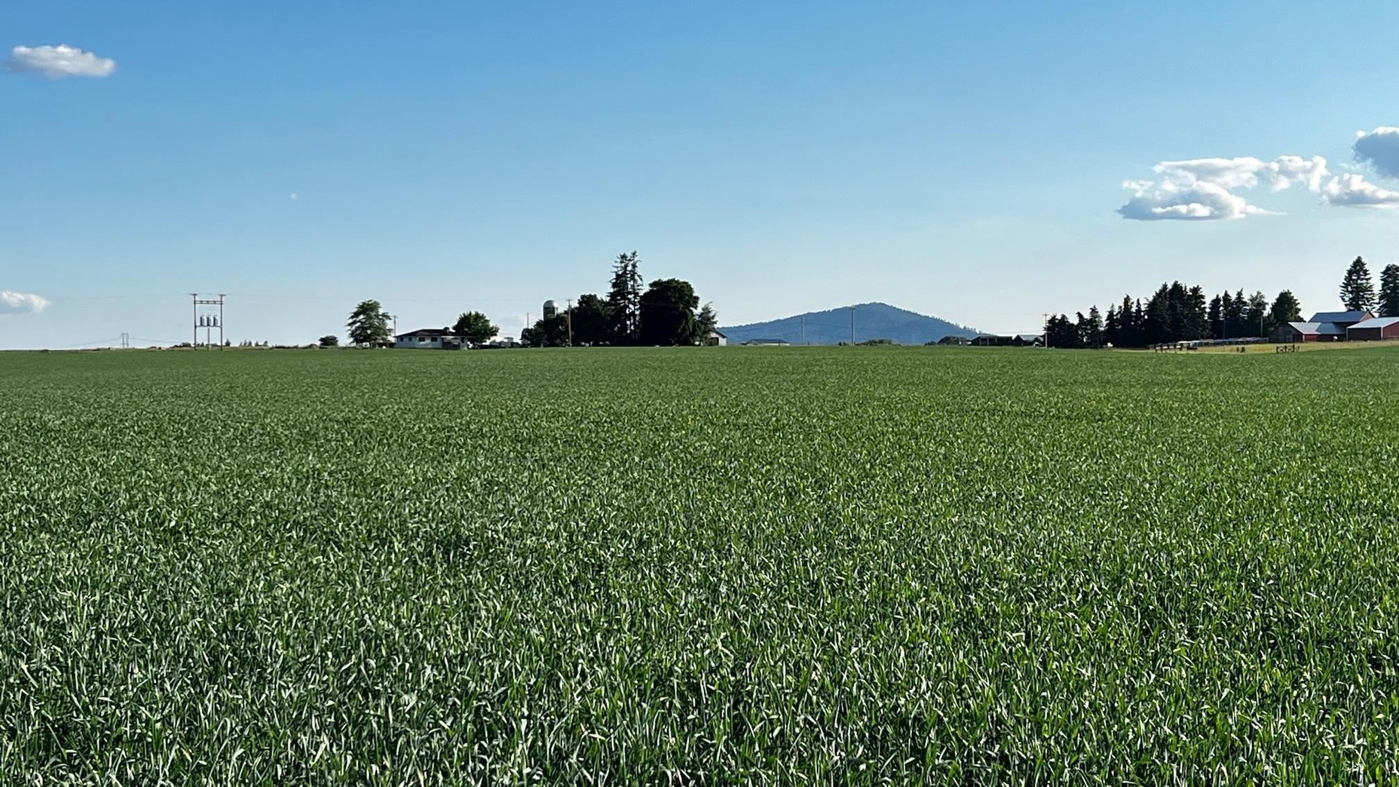 37-xxx North Grove Road Deer Park, WA 99006 - Photo 8 of 9