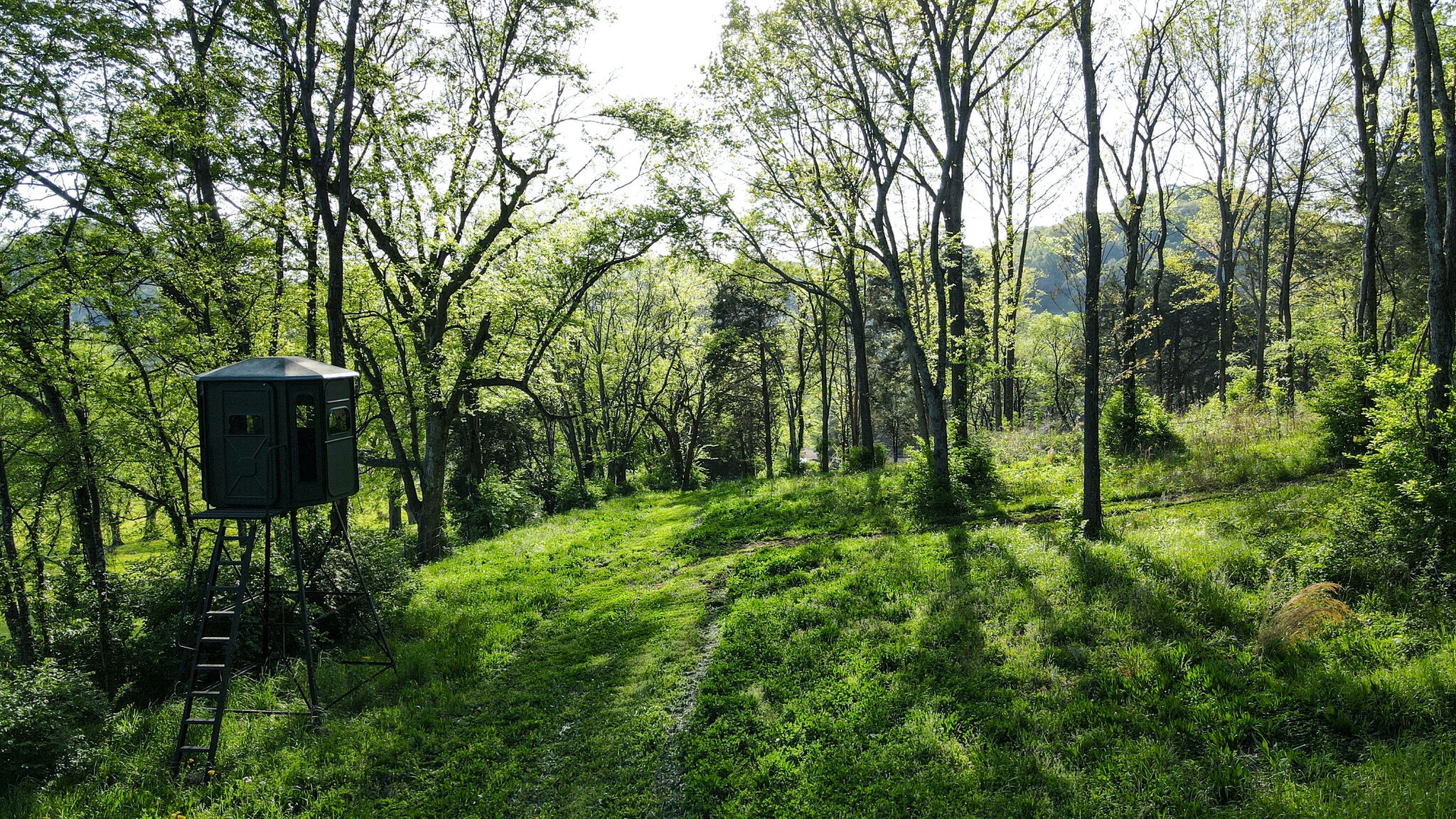 7623 River Rd Pike Nashville, TN 37209 - Photo 45 of 47 Gallery Image 45