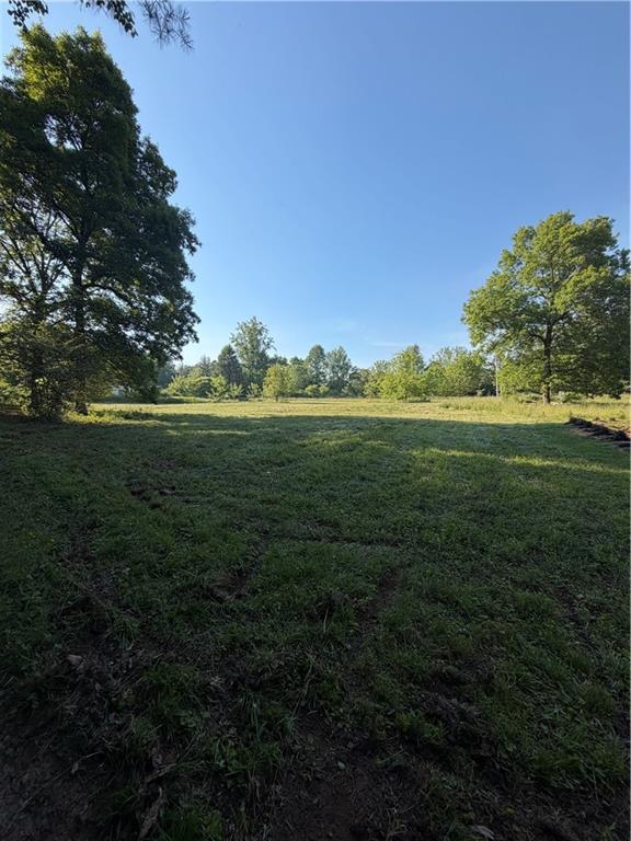 0 My Mountain Road Morganton, GA 30560 - Photo 3 of 19 a yard with lots of green space and trees