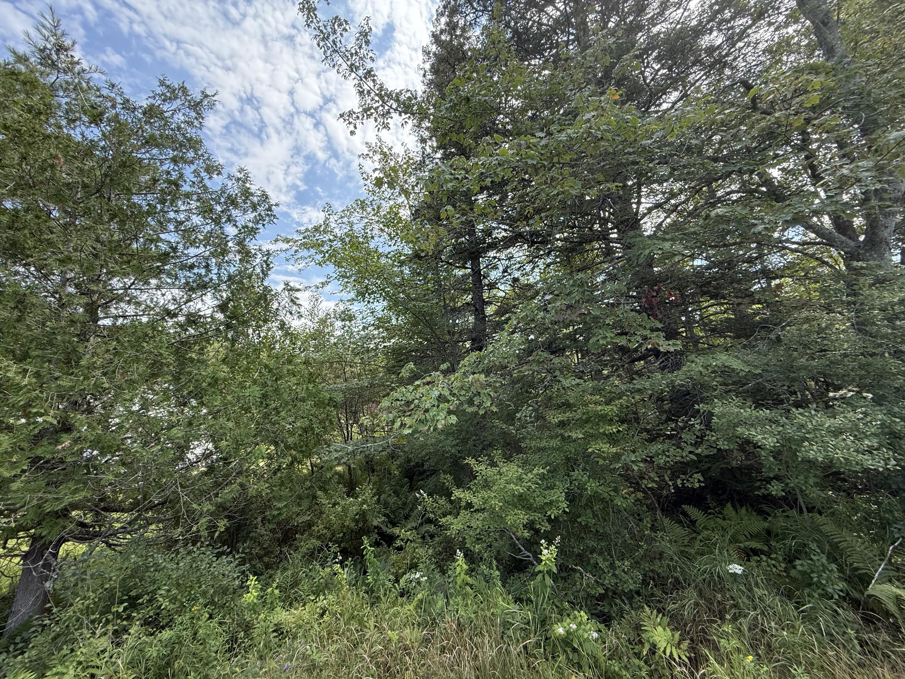 M3-l66&66-2 Sunset Cross Road Deer Isle, ME 04627 - Photo 11 of 21 MAP 3 LOT 66 & 66-2