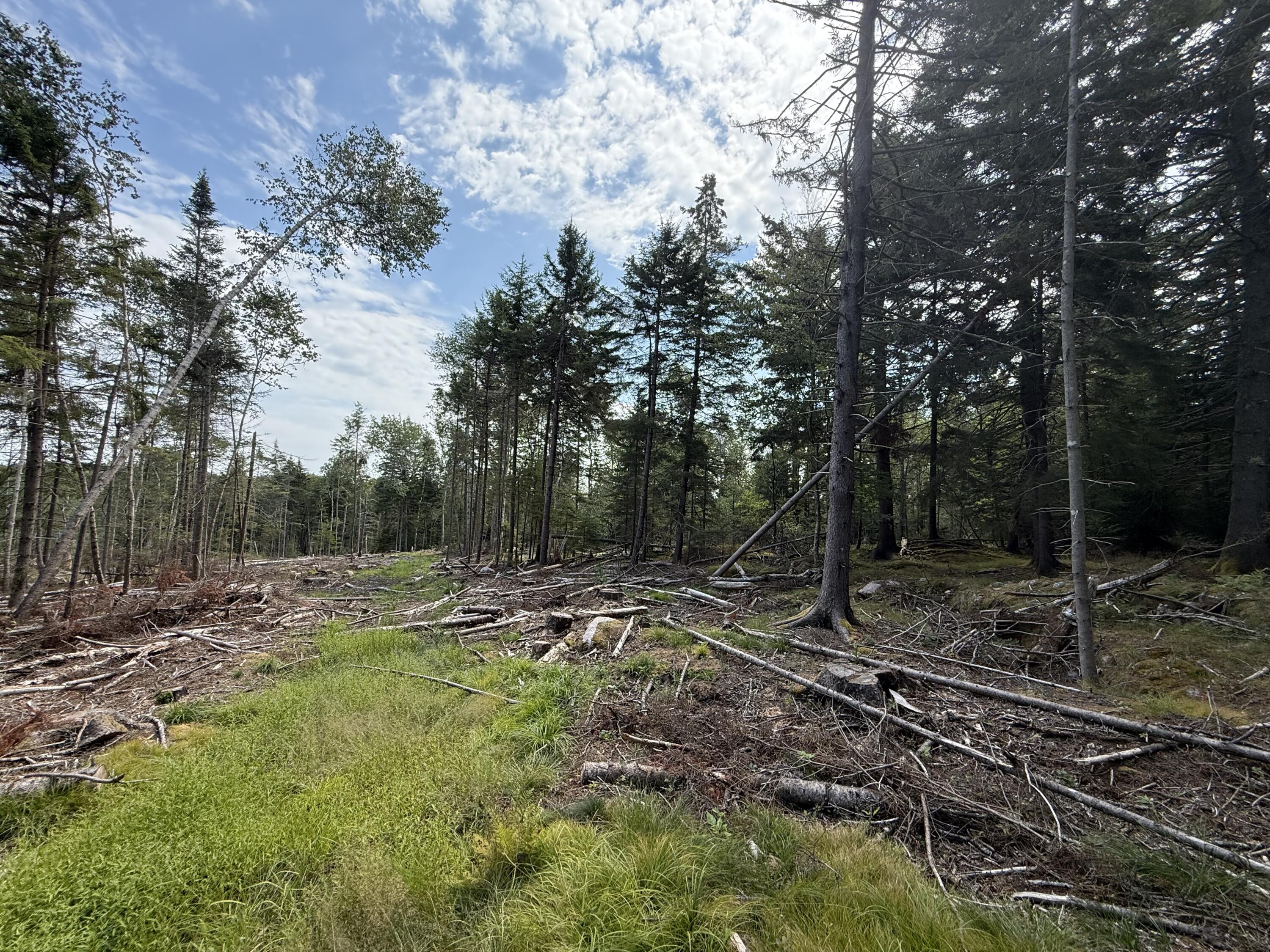 M3-l66&66-2 Sunset Cross Road Deer Isle, ME 04627 - Photo 15 of 21 MAP 3 LOT 66 & 66-2