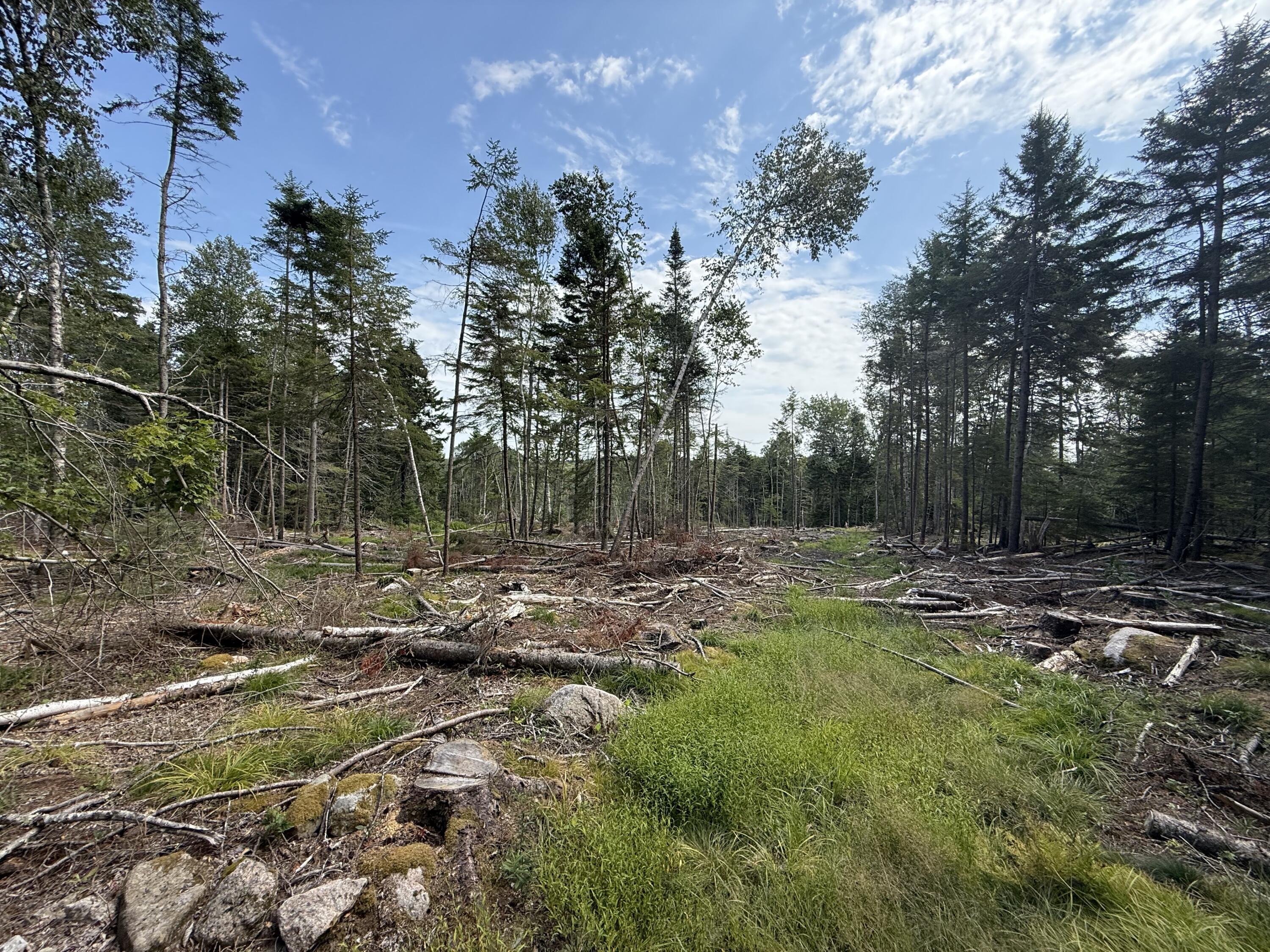 M3-l66&66-2 Sunset Cross Road Deer Isle, ME 04627 - Photo 16 of 21 MAP 3 LOT 66 & 66-2