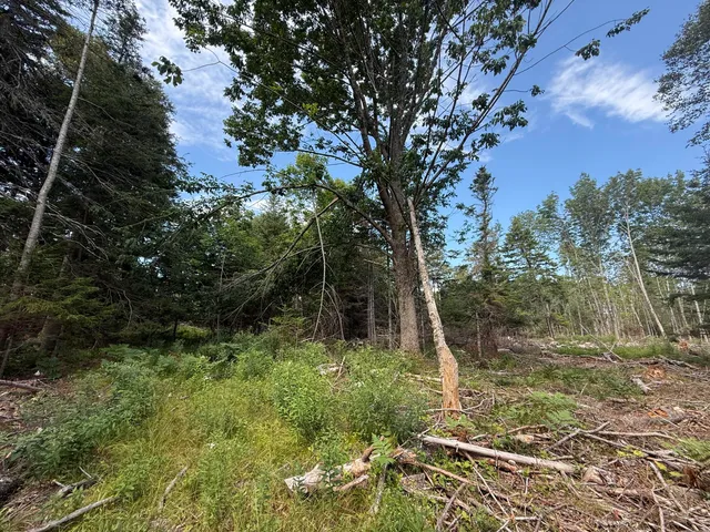 $299,000 | M3-l66&66-2 Sunset Cross Road, Deer Isle, ME 04627