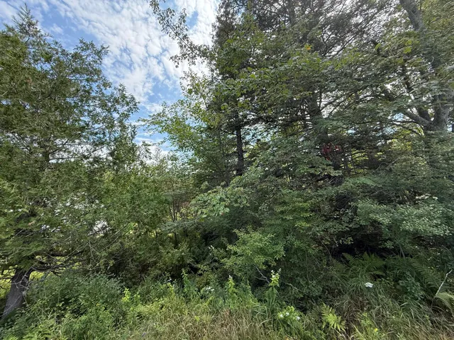 $299,000 | M3-l66&66-2 Sunset Cross Road, Deer Isle, ME 04627