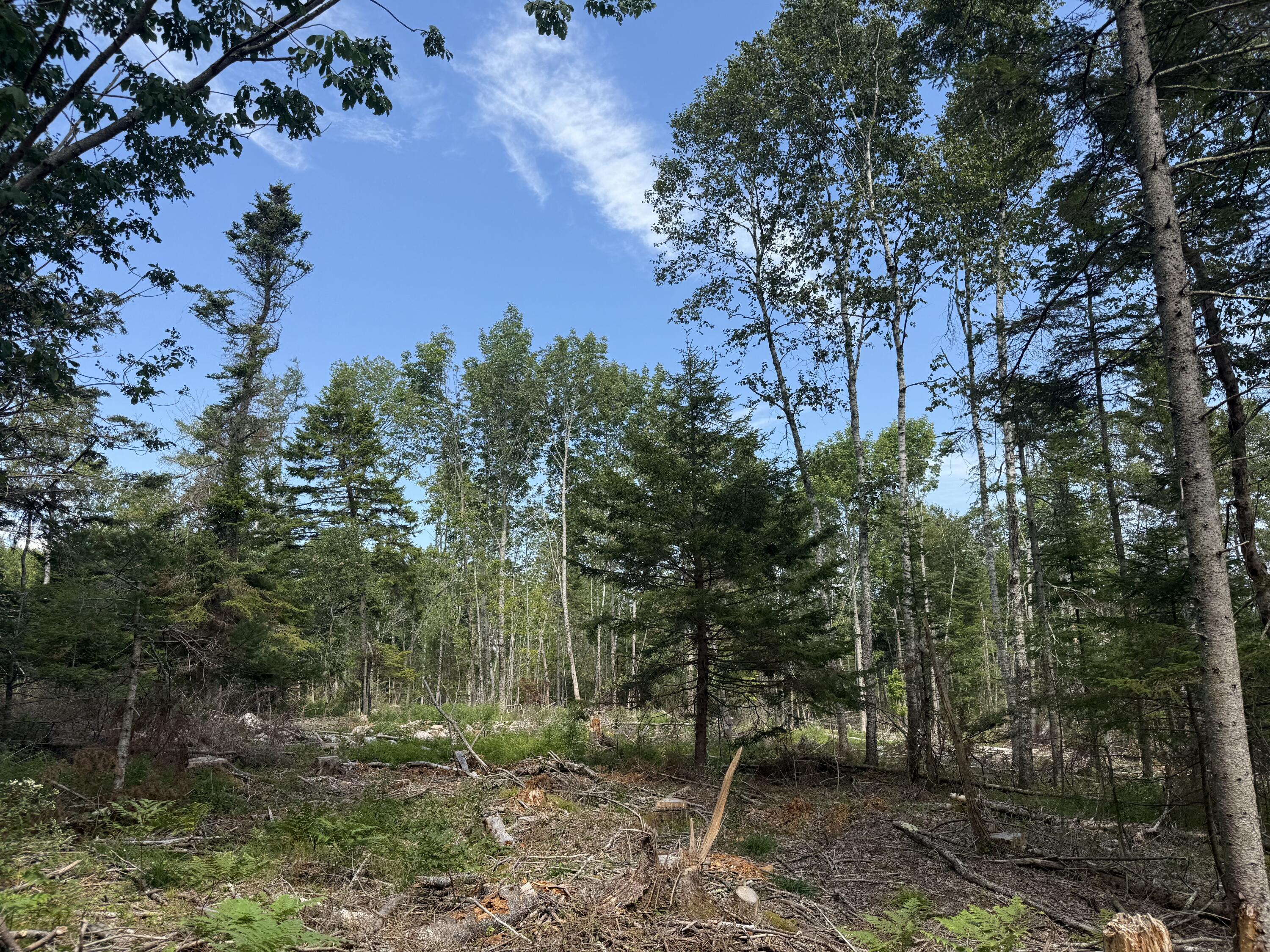 M3-l66&66-2 Sunset Cross Road Deer Isle, ME 04627 - Photo 7 of 21 MAP 3 LOT 66 & 66-2