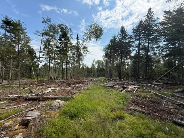 $299,000 | M3-l66&66-2 Sunset Cross Road, Deer Isle, ME 04627