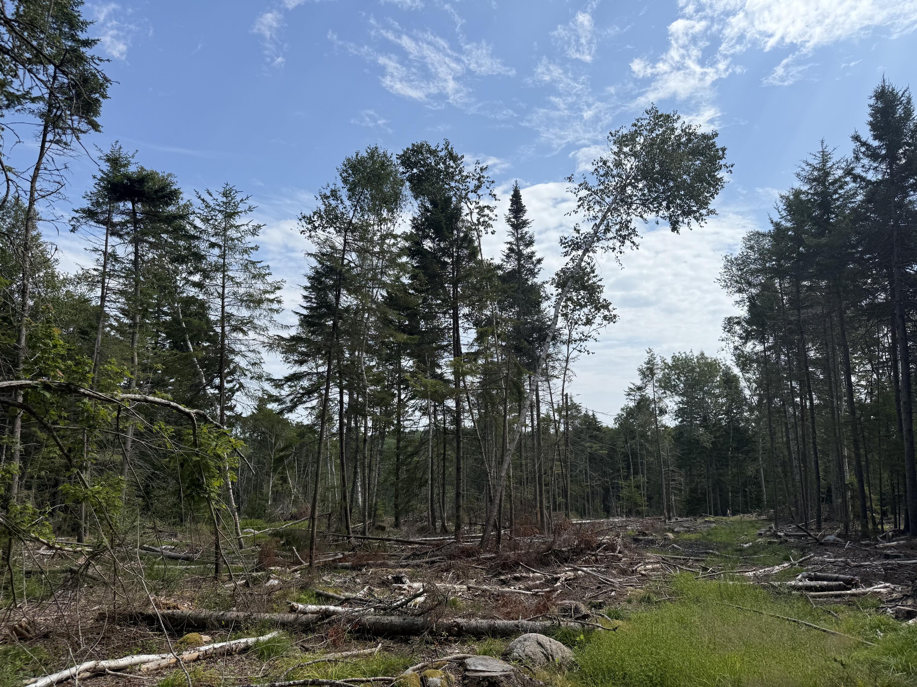 M3-l66&66-2 Sunset Cross Road Deer Isle, ME 04627 - Photo 9 of 21 MAP 3 LOT 66 & 66-2