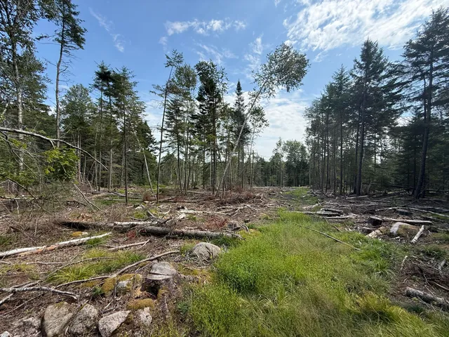 $299,000 | M3-l66&66-2 Sunset Cross Road, Deer Isle, ME 04627