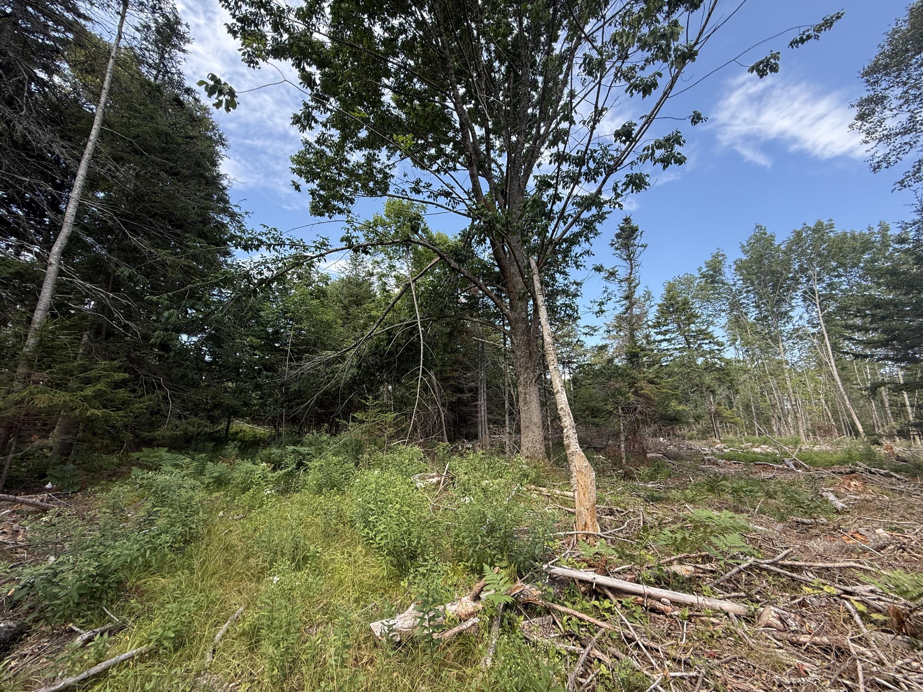 M3-l66&66-2 Sunset Cross Road Deer Isle, ME 04627 - Photo 10 of 21 MAP 3 LOT 66 & 66-2