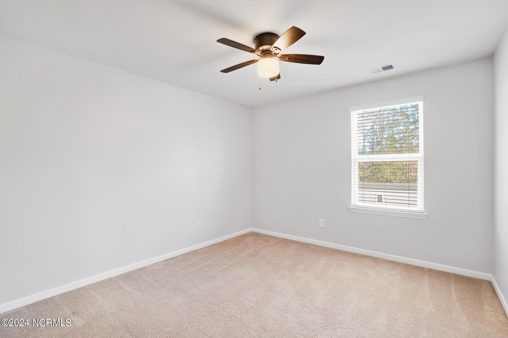409 High Ridge Court Sneads Ferry, NC 28460 - Photo 23 of 42 IMG_0741
