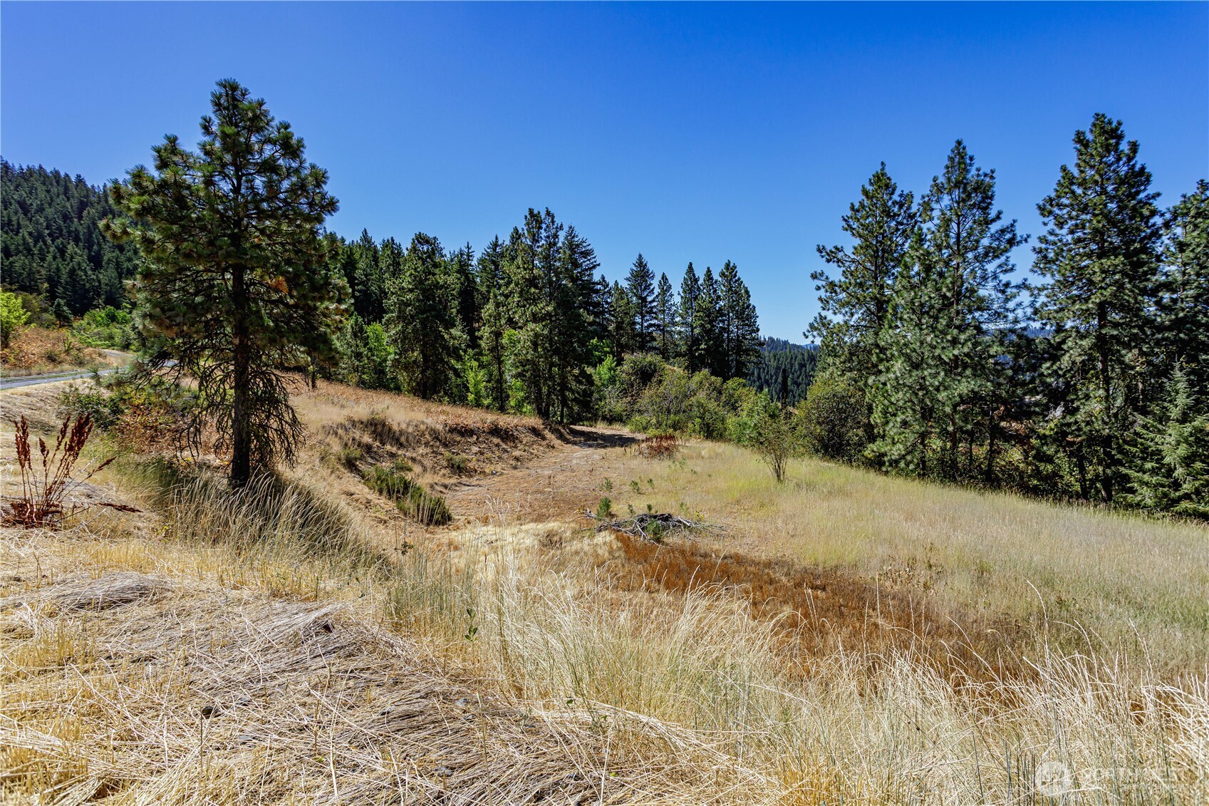 0 Sky Meadows Road Cashmere, WA 98815 - Photo 37 of 40 Gallery Image 37