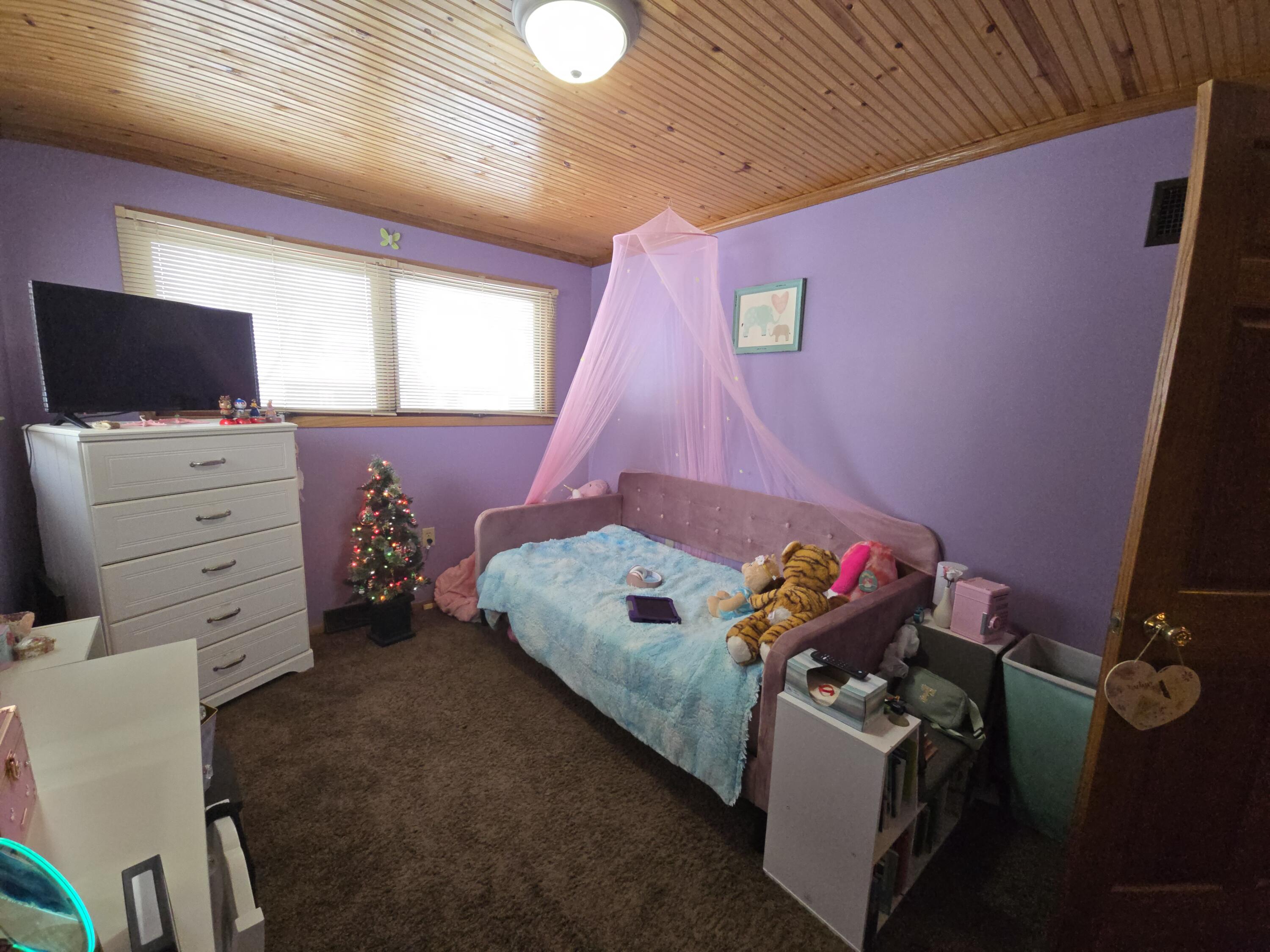 229 Palmer Avenue Colon, MI 49040 - Photo 38 of 51 1000066902