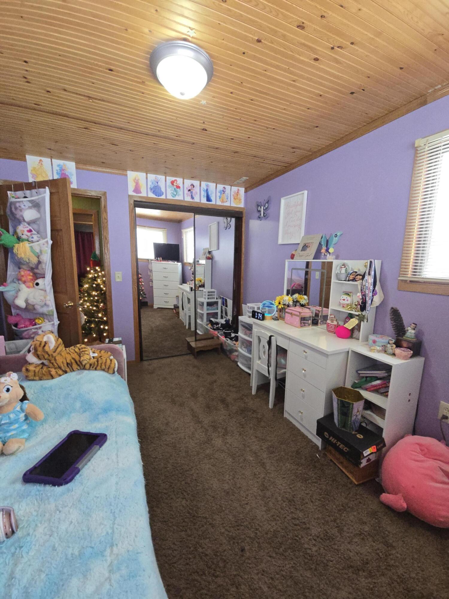 229 Palmer Avenue Colon, MI 49040 - Photo 39 of 51 1000066903