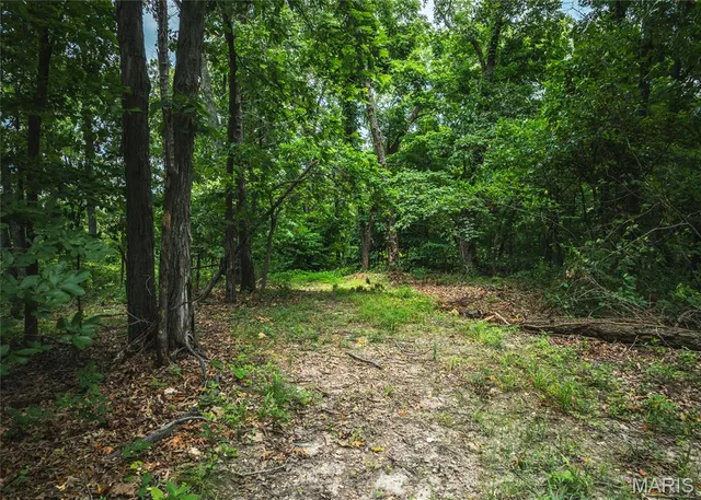 $110,000 | 2 Trails End Trail, House Springs, MO 63051