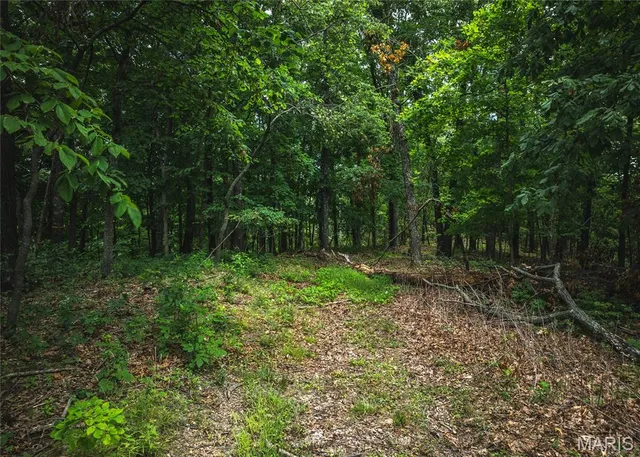 $110,000 | 2 Trails End Trail, House Springs, MO 63051