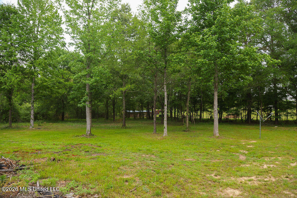 2336 Sharon Road Canton, MS 39046 - Photo 23 of 24 IMG_1711