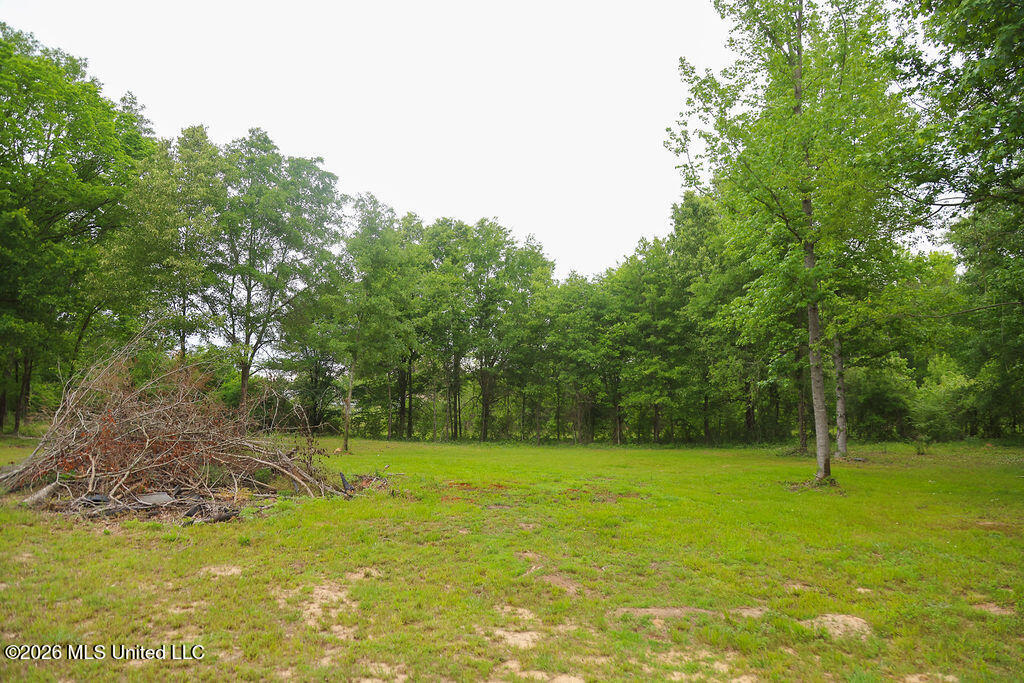 2336 Sharon Road Canton, MS 39046 - Photo 24 of 24 IMG_1712