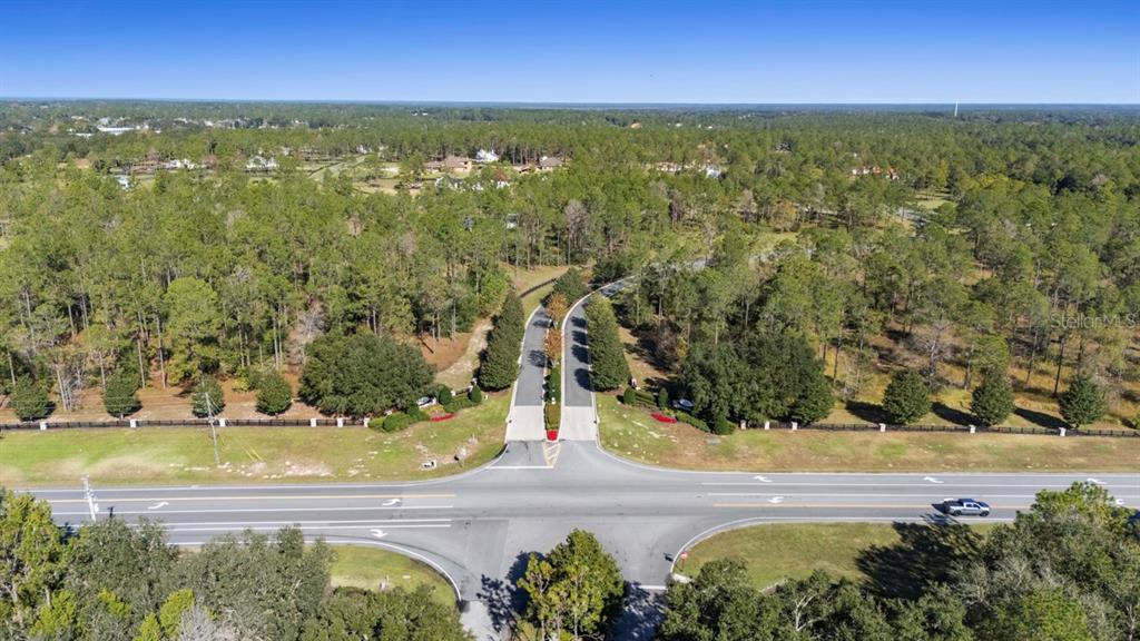 24238 Deep Springs Loop Eustis, FL 32736 - Photo 4 of 9