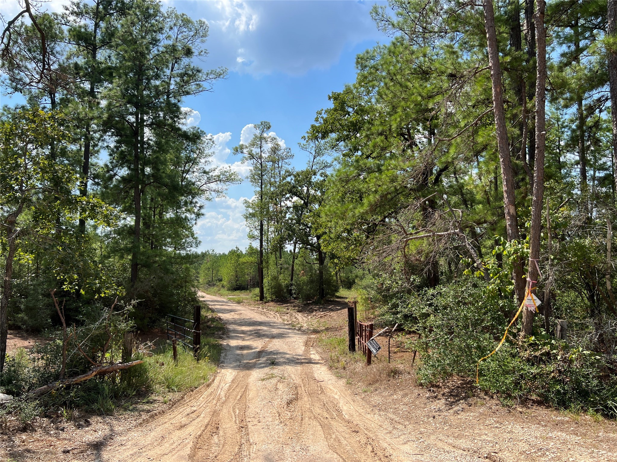 8 Fm 247 Huntsville, TX 77320 - Photo 7 of 7 a view of yard with green space