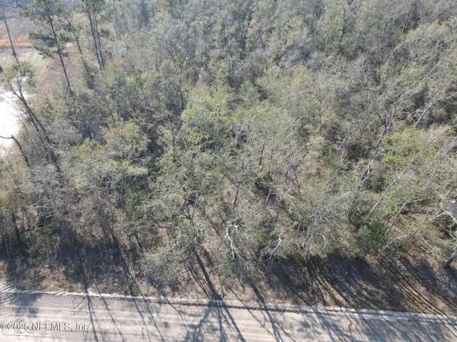 a view of a dry yard with trees