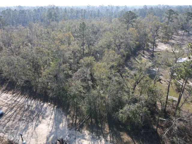 a view of a forest with trees in the background