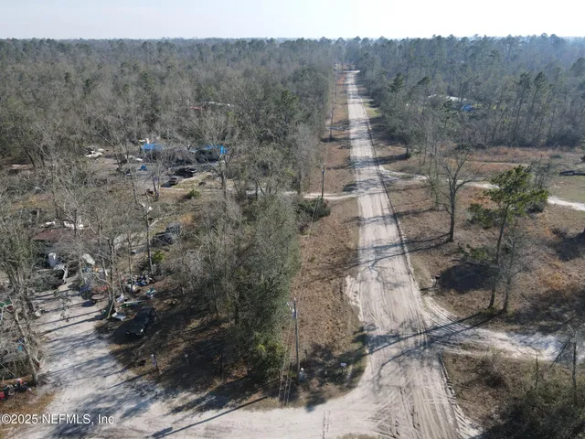 a view of a city with lush green forest