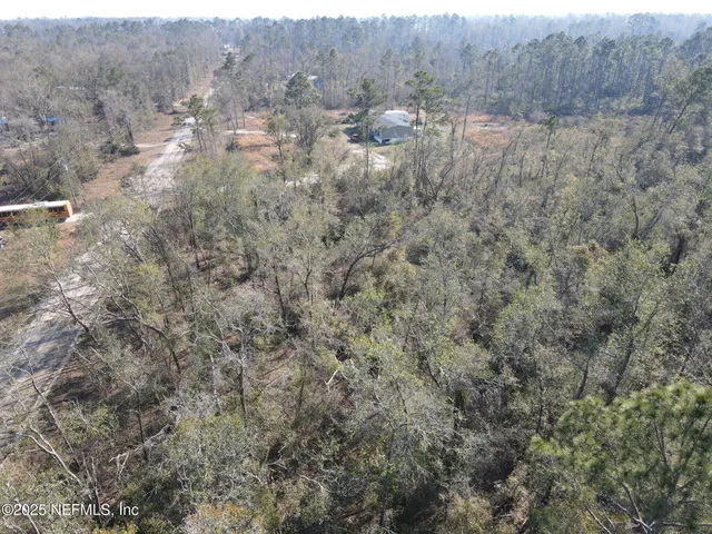 a view of a dry yard