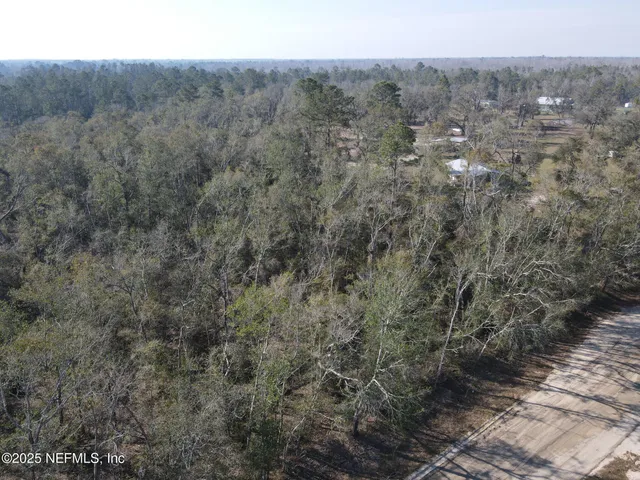 a view of a dry yard with green space