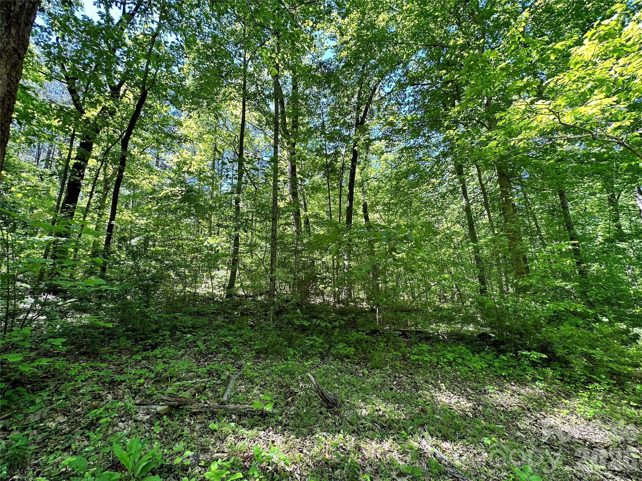 168 Rolling Road Lincolnton, NC 28092 - Photo 22 of 41 Gallery Image 22