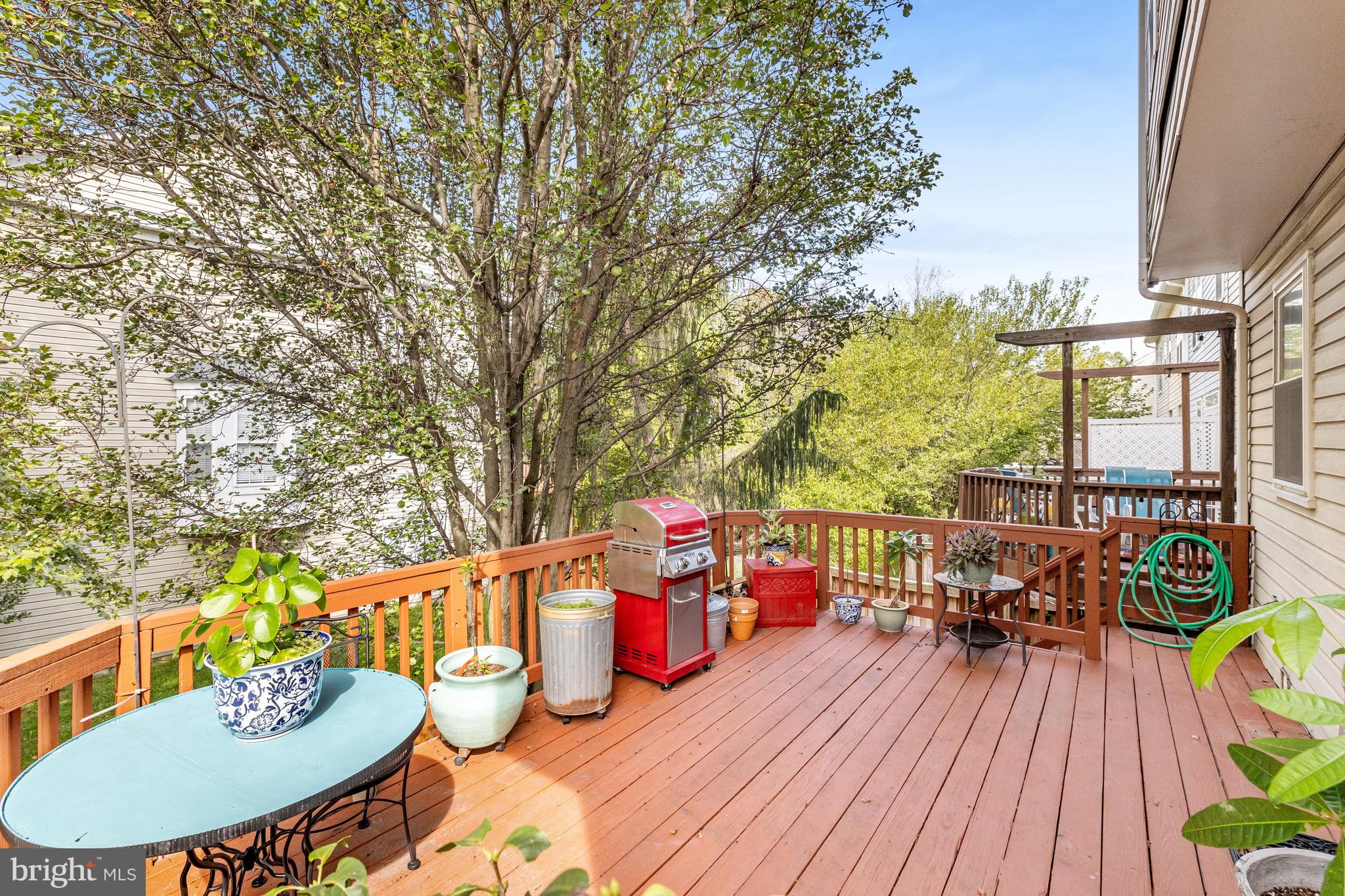 21659 Frame Square Broadlands, VA 20148 - Photo 37 of 44 Beautiful sunsets.