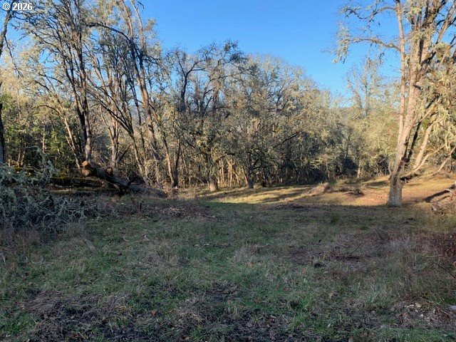 1 Northeast Pearce Road, Unit 1 Roseburg, OR 97470 - Photo 11 of 15