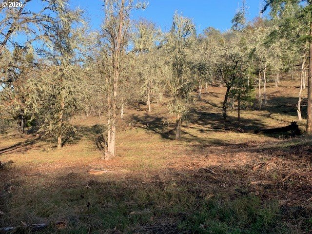 1 Northeast Pearce Road, Unit 1 Roseburg, OR 97470 - Photo 12 of 15
