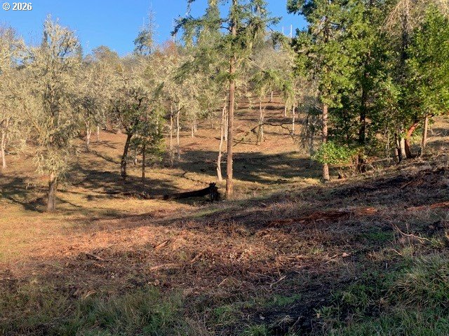 1 Northeast Pearce Road, Unit 1 Roseburg, OR 97470 - Photo 13 of 15