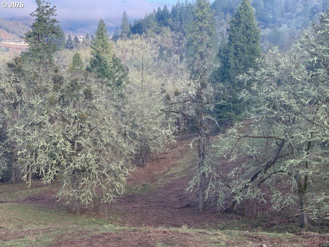 1 Northeast Pearce Road, Unit 1 Roseburg, OR 97470 - Photo 14 of 15