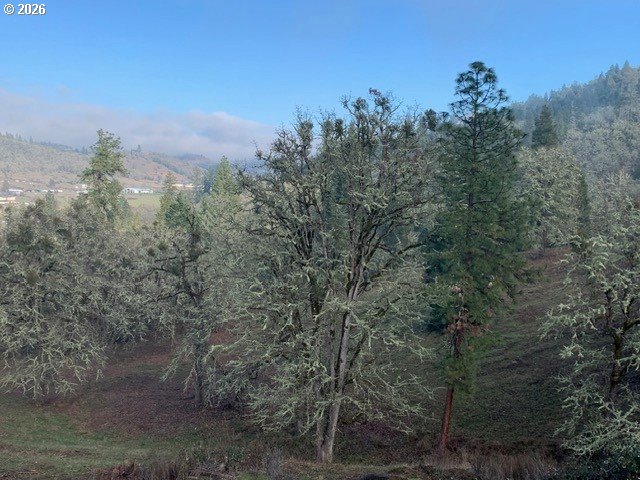 1 Northeast Pearce Road, Unit 1 Roseburg, OR 97470 - Photo 15 of 15