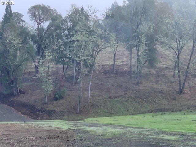 1 Northeast Pearce Road, Unit 1 Roseburg, OR 97470 - Photo 3 of 15