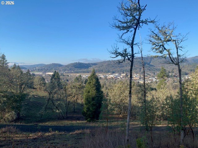 1 Northeast Pearce Road, Unit 1 Roseburg, OR 97470 - Photo 4 of 15