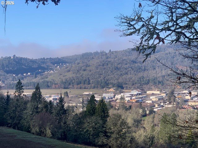 1 Northeast Pearce Road, Unit 1 Roseburg, OR 97470 - Photo 5 of 15