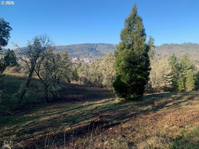 1 Northeast Pearce Road, Unit 1 Roseburg, OR 97470 - Photo 6 of 15
