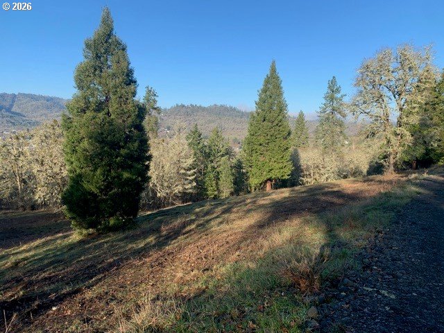 1 Northeast Pearce Road, Unit 1 Roseburg, OR 97470 - Photo 7 of 15