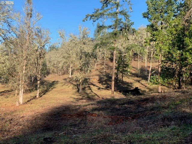 1 Northeast Pearce Road, Unit 1 Roseburg, OR 97470 - Photo 8 of 15