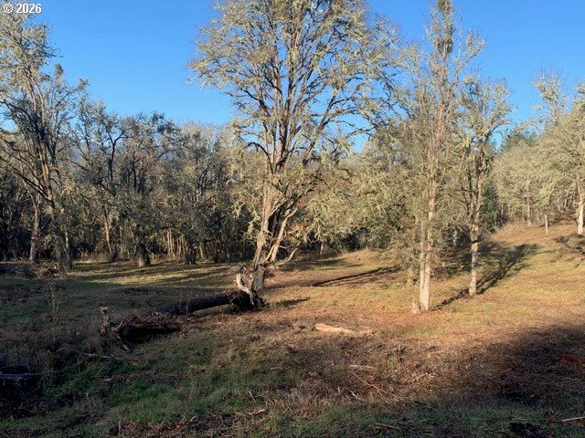 1 Northeast Pearce Road, Unit 1 Roseburg, OR 97470 - Photo 9 of 15